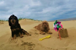 Flossie, Maddie and the Bradshaw Family's Week in Suffolk!